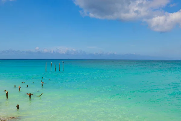 Belle Vue Sur Côte Mer Des Caraïbes Île Aruba Avec — Photo