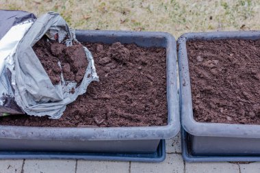 Toprak ve çiçek tarhının yakın görüntüsü. İsveç.  