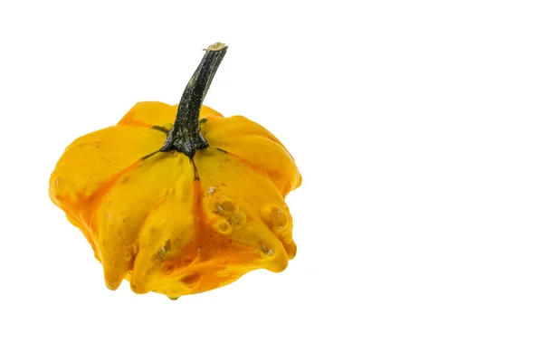Vista Perto Abóbora Amarela Isolada Fundo Branco Conceito Halloween — Fotografia de Stock