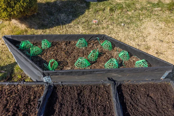 季節の植え付けのために用意されたパレットカラーのガーデンベッドのクローズアップビュー スウェーデン — ストック写真
