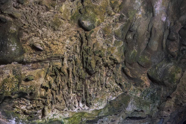 Vista Close Textura Parede Montanha Quadirikiri Caverna Parque Nacional Arikok — Fotografia de Stock
