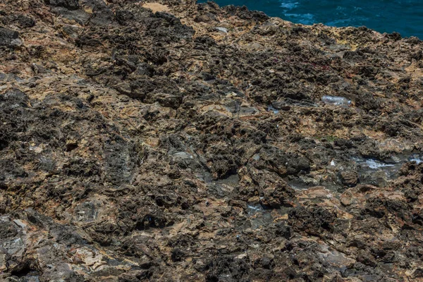 阿鲁巴岛大西洋海岸线岩石结构的闭合视图 — 图库照片