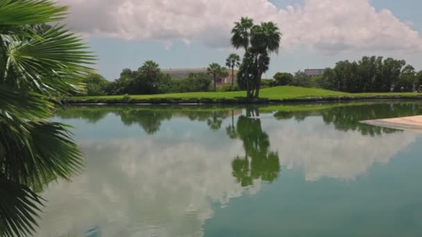 Beautiful View Lake Green Golf Courses Island Aruba — Vídeo de stock