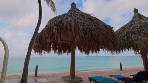 Close View Sun Loungers Sun Umbrellas White Sandy Beach Aruba — Stockvideo