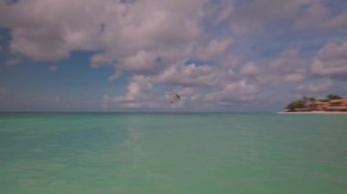 Atlantik Okyanusu 'ndaki otelin kumlu plajının turkuaz su üzerinde uçan pelikan manzarası. Aruba.