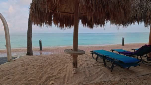 Вид Солнцезащитные Кресла Зонтиками Белом Песчаном Пляже Острова Аруба Атлантическом — стоковое видео