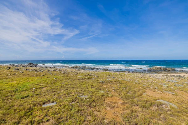 stock image Gorgeous tropical nature landscape backgrounds. Green tropical plants on coastline Caribbean sea on background. Aruba.