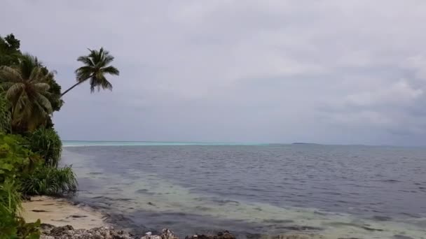 Hint Okyanusu Nun Güzel Manzarası Kıyıda Palmiye Ağaçları Maldivler Bulutlu — Stok video