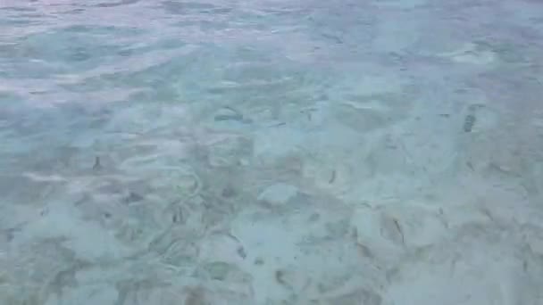 Удивительный Вид Белый Песок Через Прозрачную Бирюзовую Воду Индийский Океан — стоковое видео