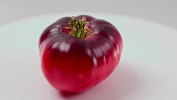 トマト分離の回転する熟した黒い品種のビューを閉じます — ストック動画