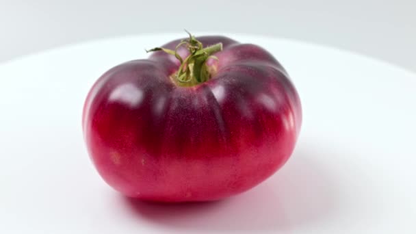 흑색의 토마토를 회전시키는 모습을 히들여다볼 수있다 — 비디오
