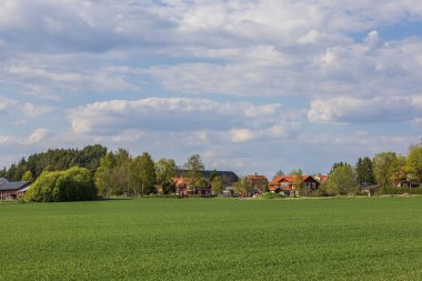 Köyün dış mahallelerinde fideleri olan tarımsal tarlaların güzel manzarası. İsveç.