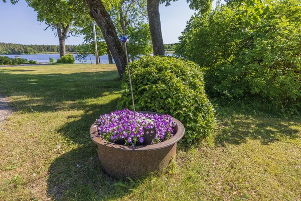 Piękny Widok Łóżko Kwiatowe Fioletowymi Kwiatami Dekoracyjnym Kotem Tle Jeziora — Zdjęcie stockowe