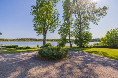 Güneşli yaz gününde güzel doğa manzarası. Göl yüzeyindeki yeşil ağaçlar ve mavi gökyüzü arka planı. İsveç.