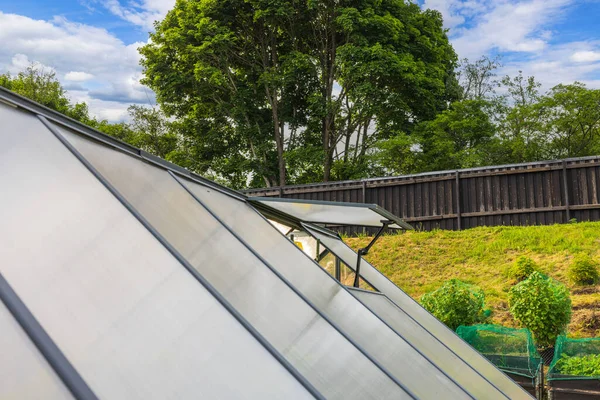 夏の日に換気のための天井に開いた窓のあるプライベートガーデンでの温室の美しい景色 スウェーデン — ストック写真