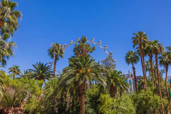 阳光明媚的夏日 拉斯维加斯摩天轮穿过棕榈树的美丽景色 — 图库照片