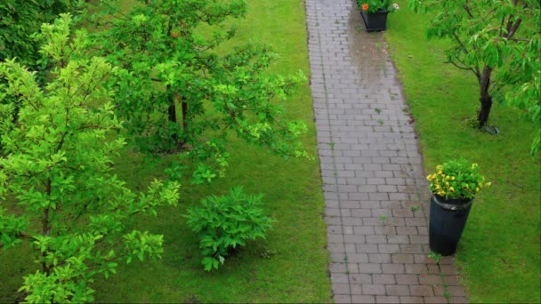 Prachtig Uitzicht Villa Privé Tuin Regen Met Bestrating Fruitbomen Groen — Stockvideo