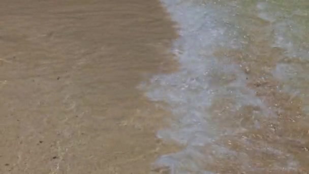 Красивые Пейзажи Природы Вид Встречной Волны Песчаном Пляже — стоковое видео