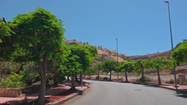 Όμορφη Θέα Στο Τροπικό Τοπίο Την Ηλιόλουστη Μέρα Gran Canaria — Αρχείο Βίντεο