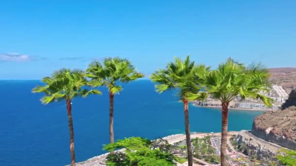 Piękny Widok Panoramiczny Przez Palmy Nadmorskiej Części Oceanu Atlantyckiego Tle — Wideo stockowe