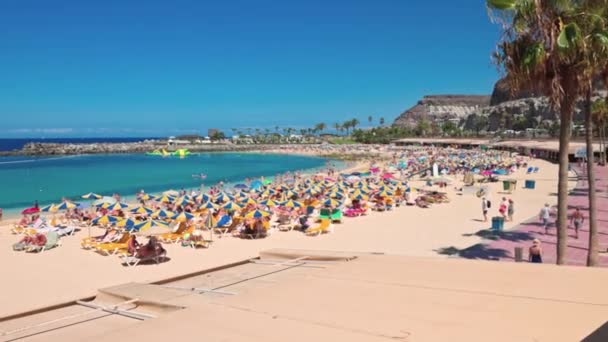 Piękny Widok Amadores Beach Ocean Atlantycki Grand Canaria Upalny Letni — Wideo stockowe