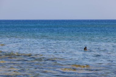 Akdeniz ve şnorkel maskeli bir adam mavi deniz suyu yüzeyinde. Yunanistan. 