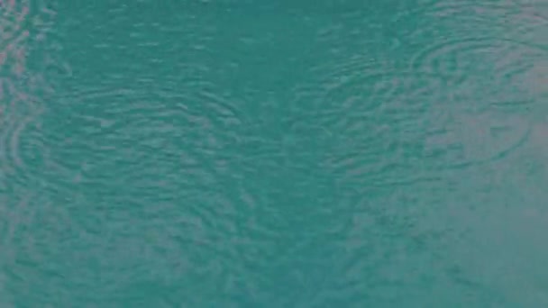 Hermosa Vista Gotas Lluvia Superficie Agua Azul Piscina — Vídeos de Stock