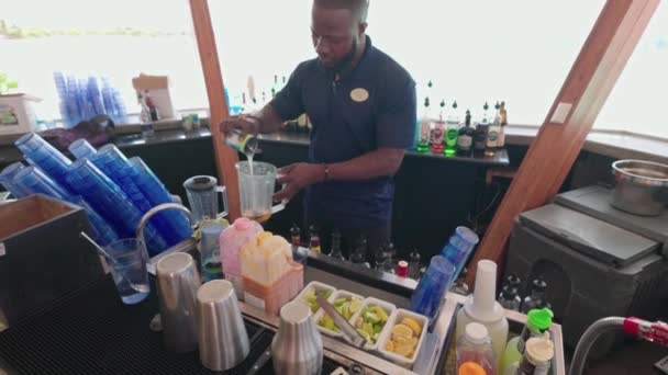 View Bartender Hotel Bar Atlantic Coast Making Cocktail Tourist Tourism — Stock Video