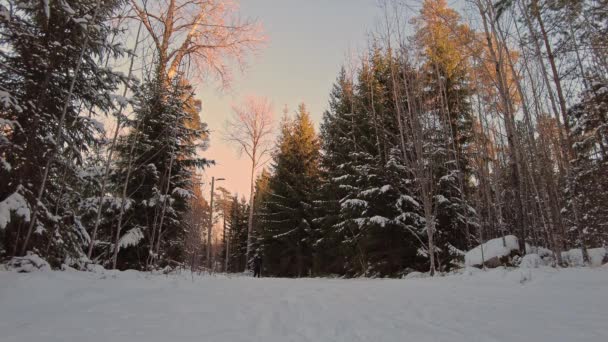 Prachtig Uitzicht Mens Die Klassieke Plastic Ski Skipiste Het Winterbos — Stockvideo