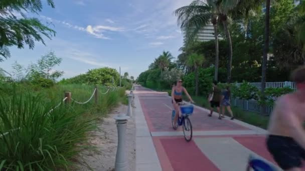 Caminhando Pessoas Pessoas Bicicleta Rua Walking Miami Beach Dia Ensolarado — Vídeo de Stock