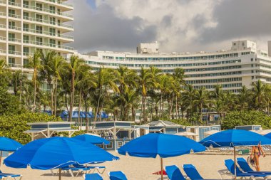 Beyaz kumlu Atlantik Okyanusu manzarası. Güneşli şezlonglar ve şemsiyelerle. Palmiye ağaçları ve binalar. Miami Plajı. ABD.