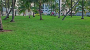 Ocean Drive 'ın güzel akşam manzarası, restoranlar, parkta yürüyen insanlar, yeşil çimenler ve palmiye ağaçları. Miami Plajı. ABD. 