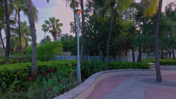 Bela Vista Pessoas Andando Longo Walking Street Miami Beach Noite — Vídeo de Stock