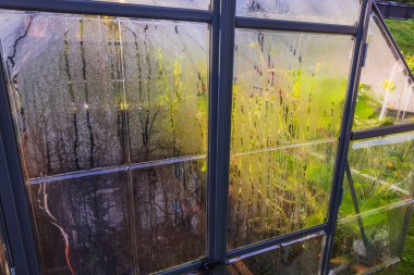 Pencerelerinde buğulanma olan seranın yakın görüntüsü. İsveç.