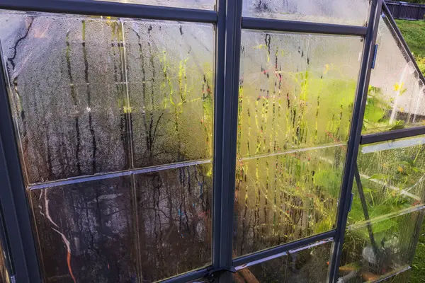 Close View Greenhouse Condensation Windows Walls Sweden — Stock Photo, Image