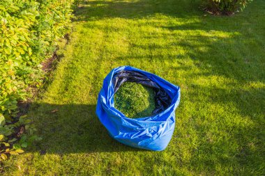 Yeşil sonbahar çimlerinin üzerinde duran plastik biçilmiş çimlerin yakın plan görüntüsü. İsveç.