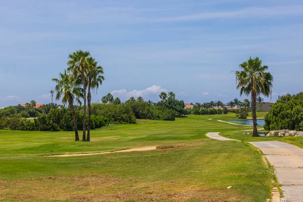 Yeşil çimenleri, palmiye ağaçları ve gölü olan golf sahasının güzel manzarası. Aruba.