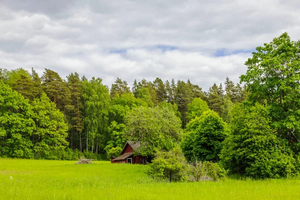 Вид Старый Деревянный Дом Между Зелеными Деревьями Швеция — стоковое фото