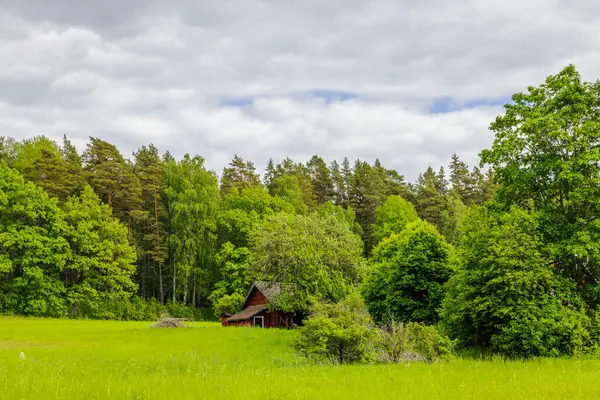 Vacker Utsikt Över Gammalt Trähus Mellan Gröna Skogsträd Sverige Royaltyfria Stockfoton