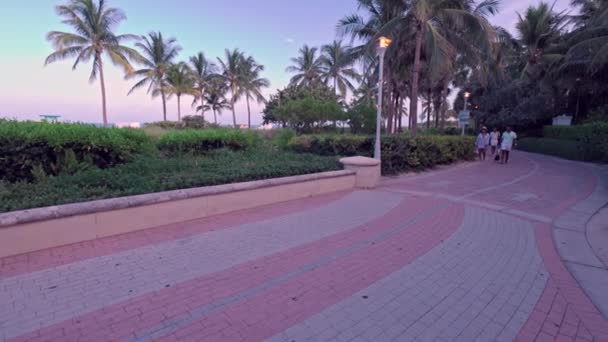 ウォーキングストリートマイアミビーチの美しい景色は 人々が暑い夜に歩いてスポーツをする マイアミビーチ アメリカ合衆国 — ストック動画