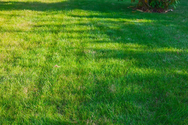 Piękny Widok Tekstury Zielonego Trawnika Ogrodzie Prywatnej Willi Tle Zachodu — Zdjęcie stockowe