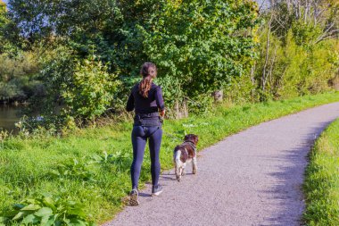 Güneşli bir sonbahar gününde parkta köpek ile koşan genç bir kız görüntüsü. Aktif sporlar. İsveç.