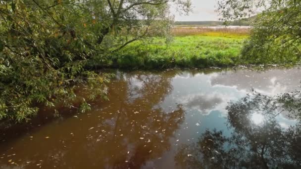 滝の葉で太陽と木の反射で川を見下ろす美しい秋の風景 スウェーデン — ストック動画