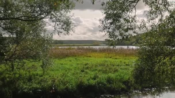 Krásná Podzimní Krajina Výhledem Jezera Přerostlými Břehy Trávou Švédsko — Stock video