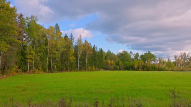 Piękny Widok Panoramiczny Jesiennego Krajobrazu Lasu Kolorowe Drzewa Zielone Pole — Wideo stockowe