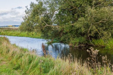 Dar nehirde büyüyen ağaçla sonbahar manzarası çok güzel. İsveç.