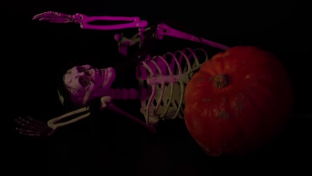 Nahaufnahme Eines Rosafarbenen Beleuchteten Skeletts Das Auf Schwarzem Hintergrund Neben — Stockvideo