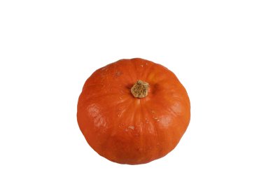 Beyaz arkaplanda izole edilmiş balkabağının yakın görüntüsü. İsveç.