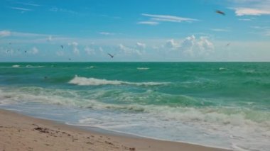 Atlantik Okyanusu 'nun güzel dalgaları kumlu sahile yuvarlanıyor ve kuşlar suyun üzerinde uçuyor..