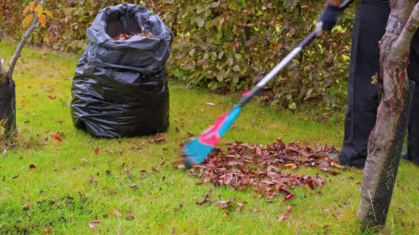 Zicht Van Persoon Die Hark Gebruikt Gevallen Bladeren Verzamelen Herfstdag — Stockvideo